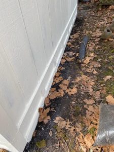 Exterior Repair After