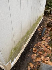 Exterior Repair Before