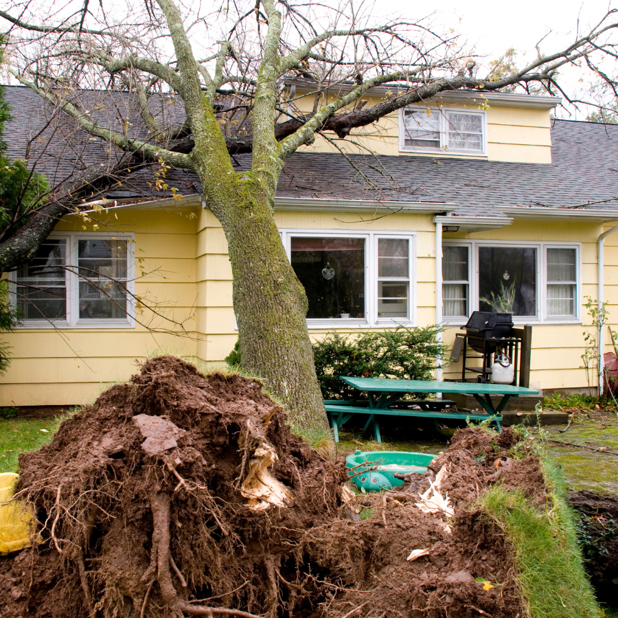 Check out our Storm Damage & Repair Painting Services