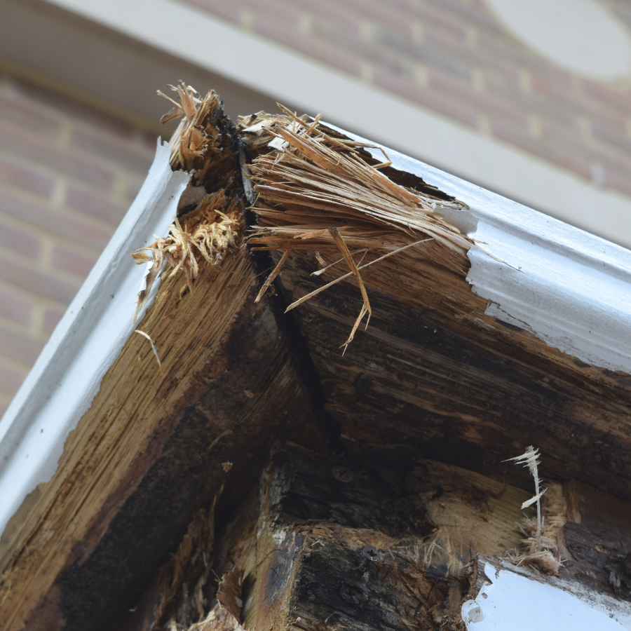 Check out our Wood Rot Repair Services