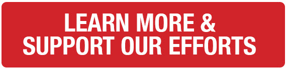 Support our efforts with LLS