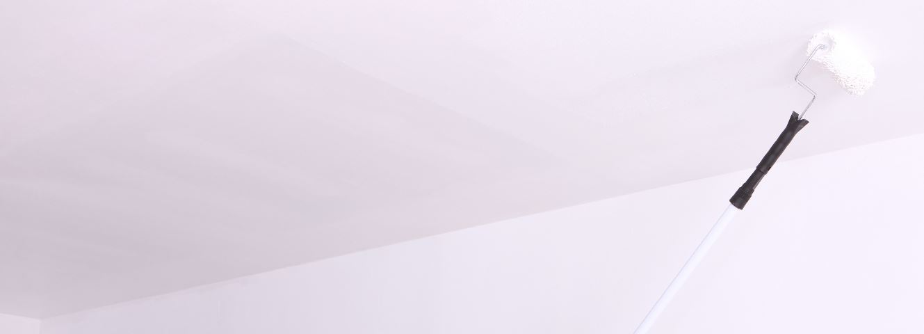 paint roller extension