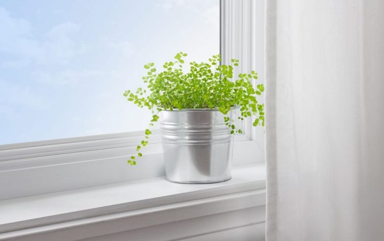 Check out our Molding & Trim Painting and Staining