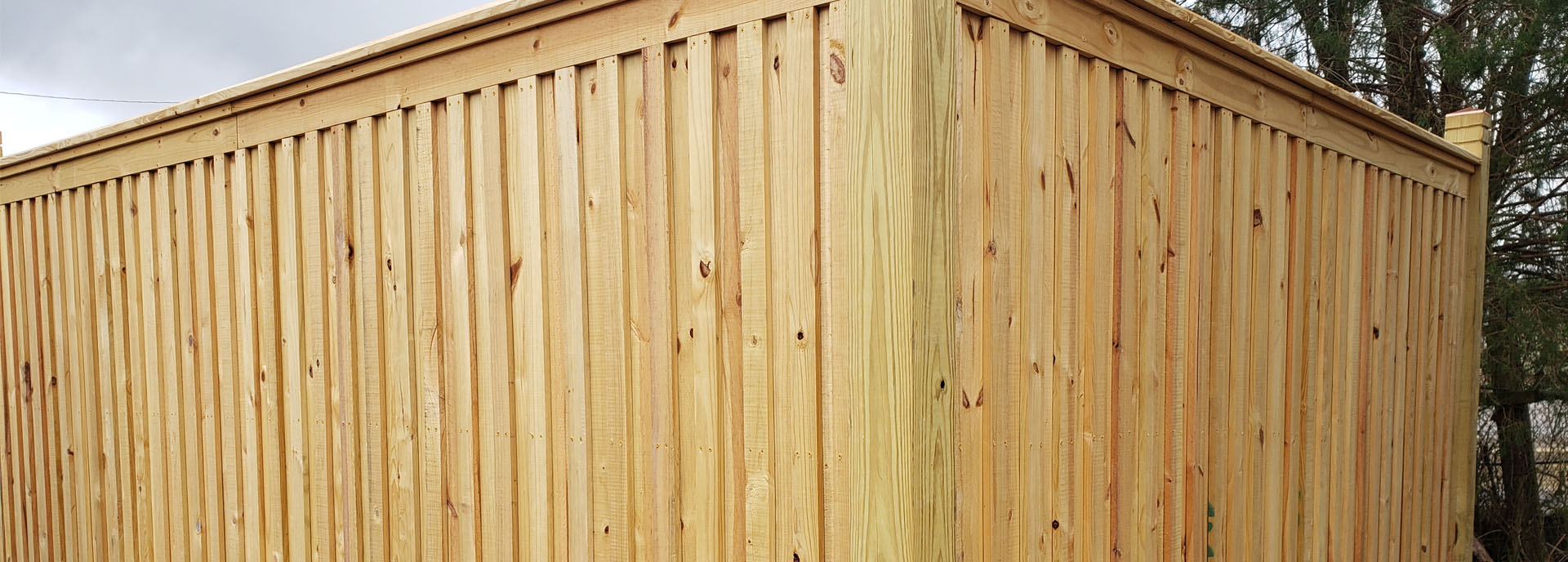 Fence Painting Before