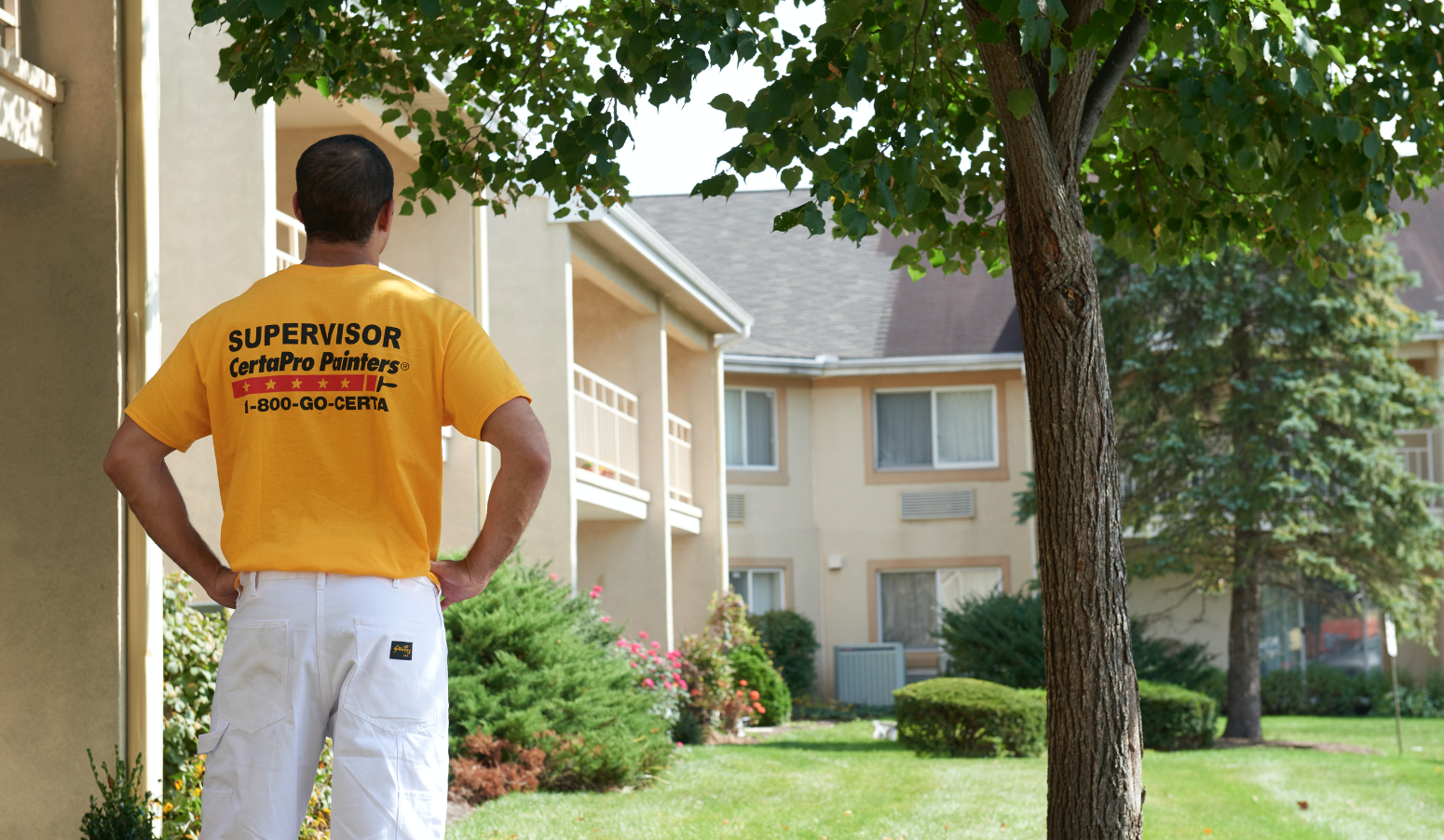 Commercial Painter assessing work