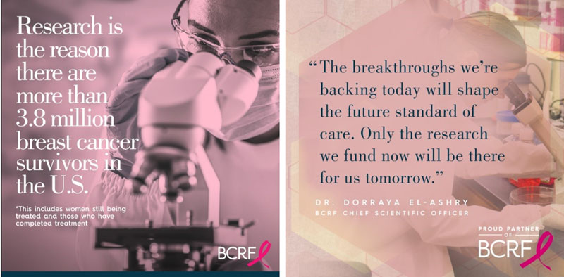 Breast Cancer Research Foundation - Paint It Pink Campaign