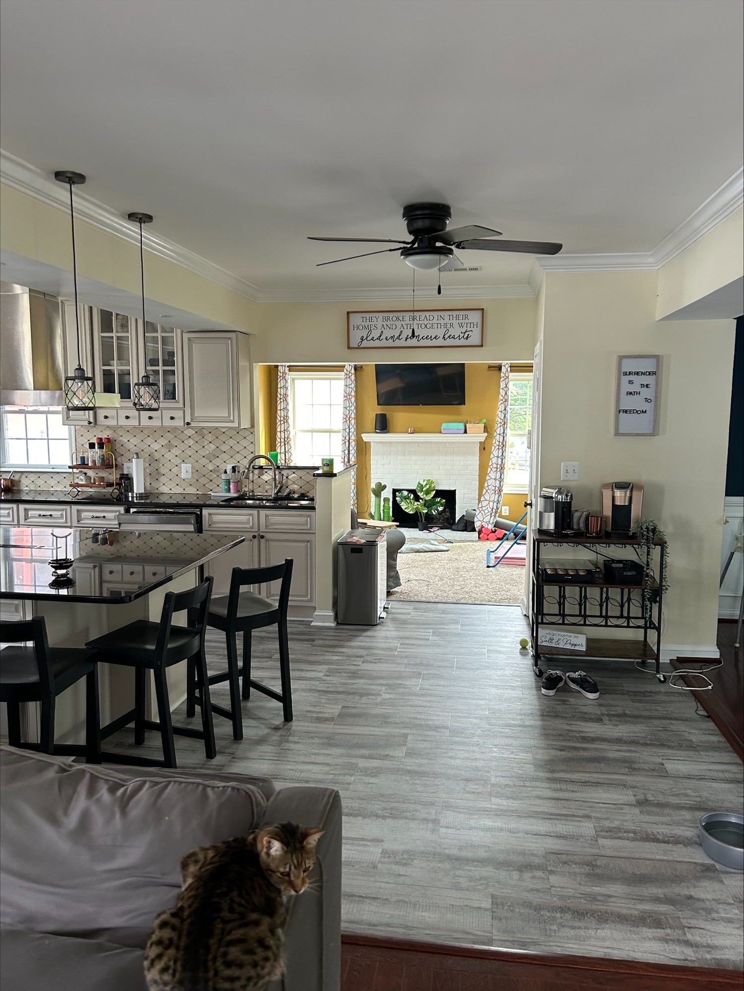 Residential Interior Painting in Annapolis, MD Before