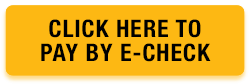 pay your invoice online with a check