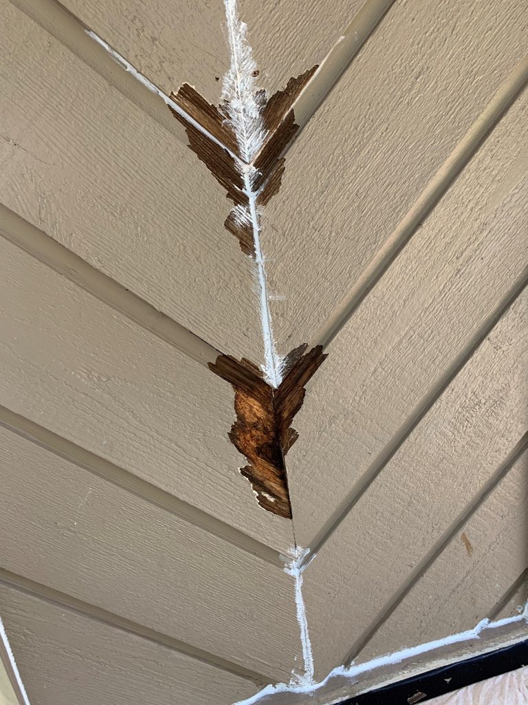 siding