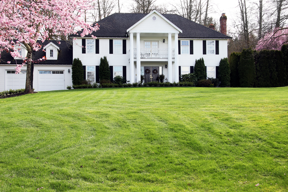 Traditional home with cherry blossoms