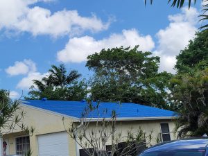 Painted Shingle Roof After