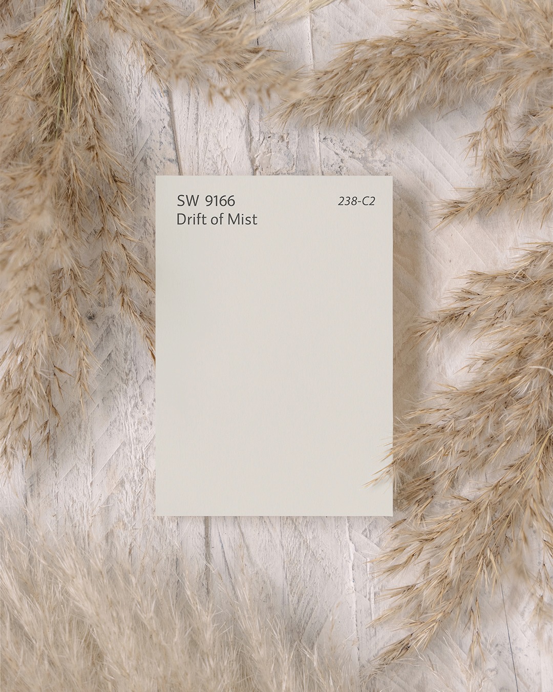 Drift of Mist Swatch