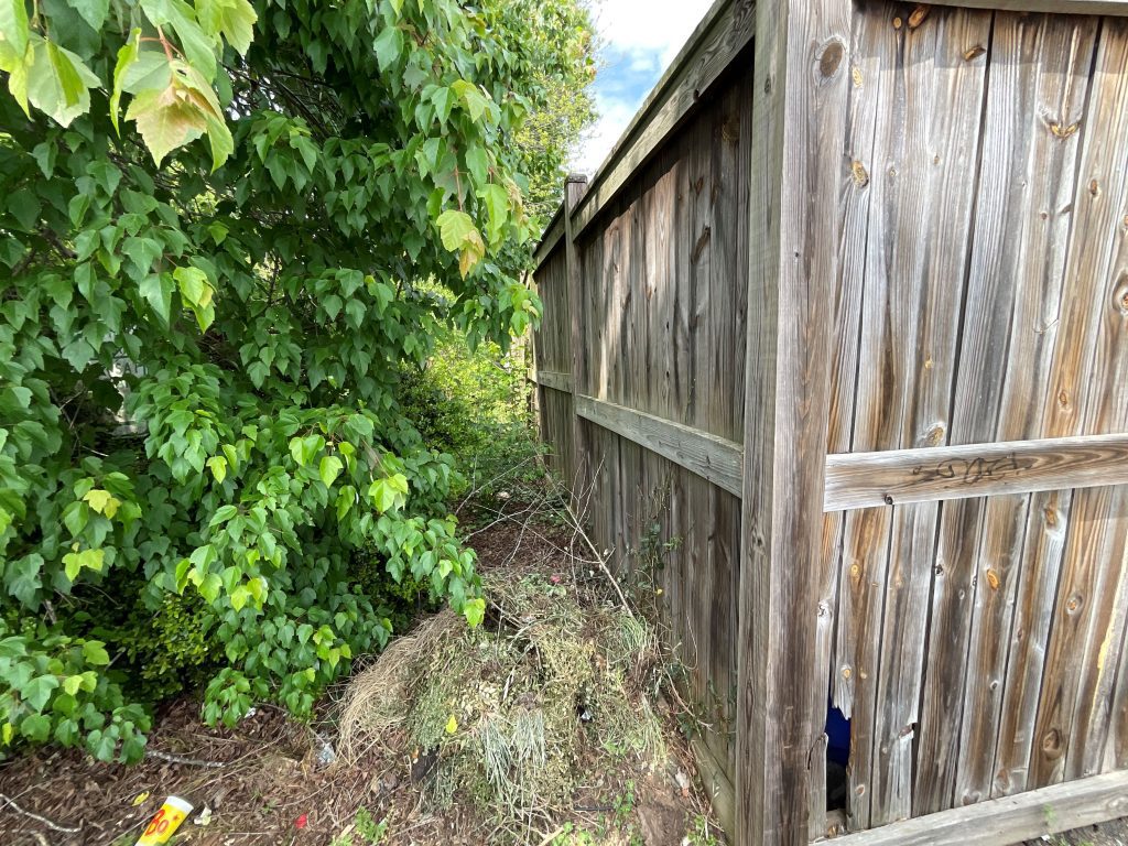 Fence Staining Before & After Before