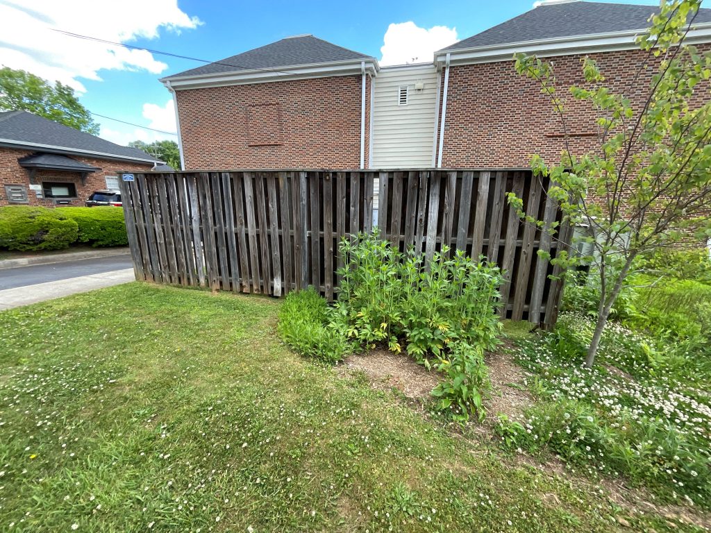 Fence Staining Before & After Before