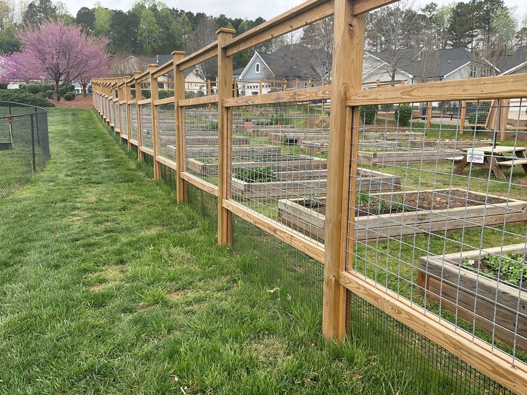 Fence Staining Before & After Before