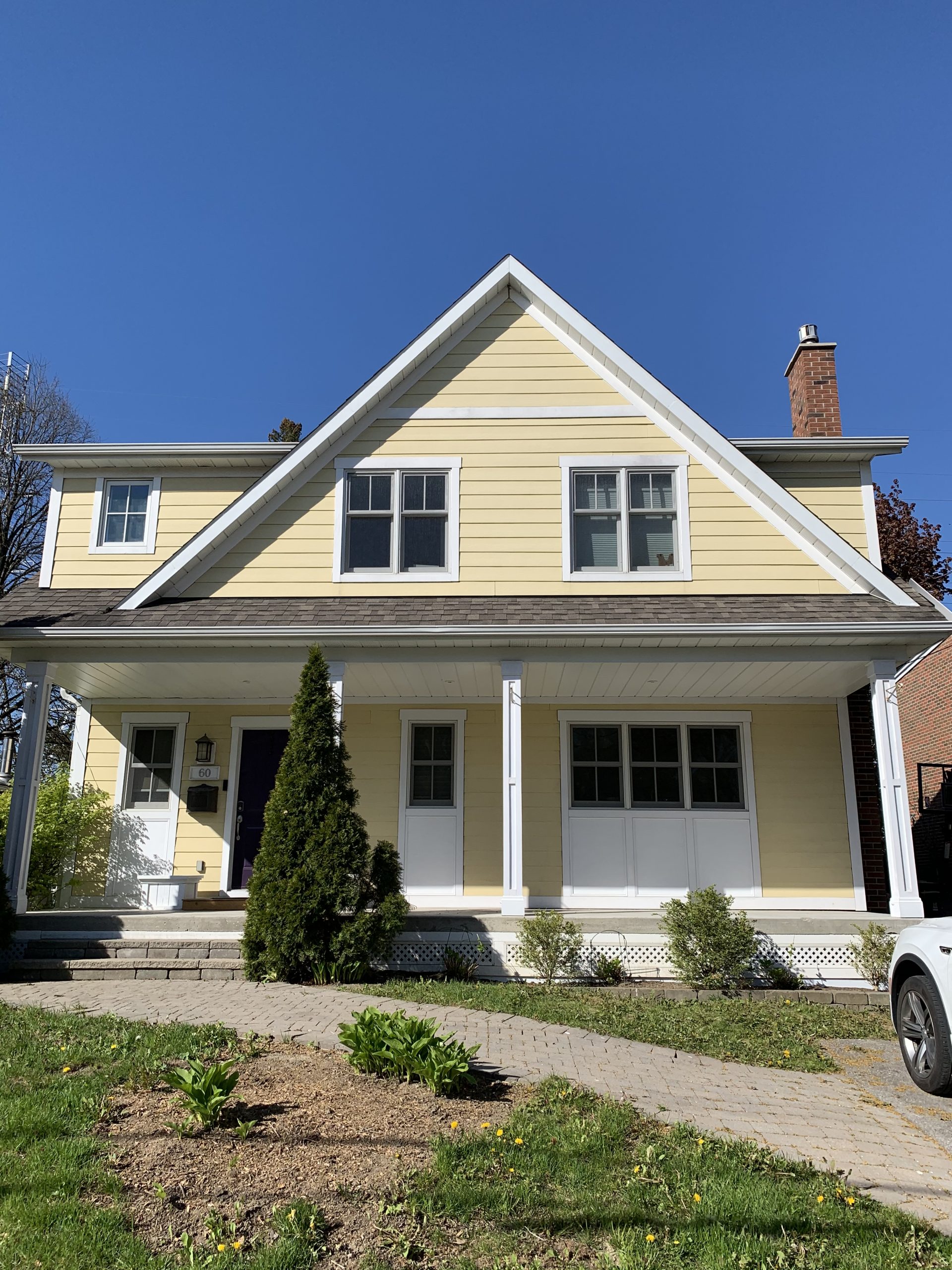 Princess-Rosethorn exterior painting before