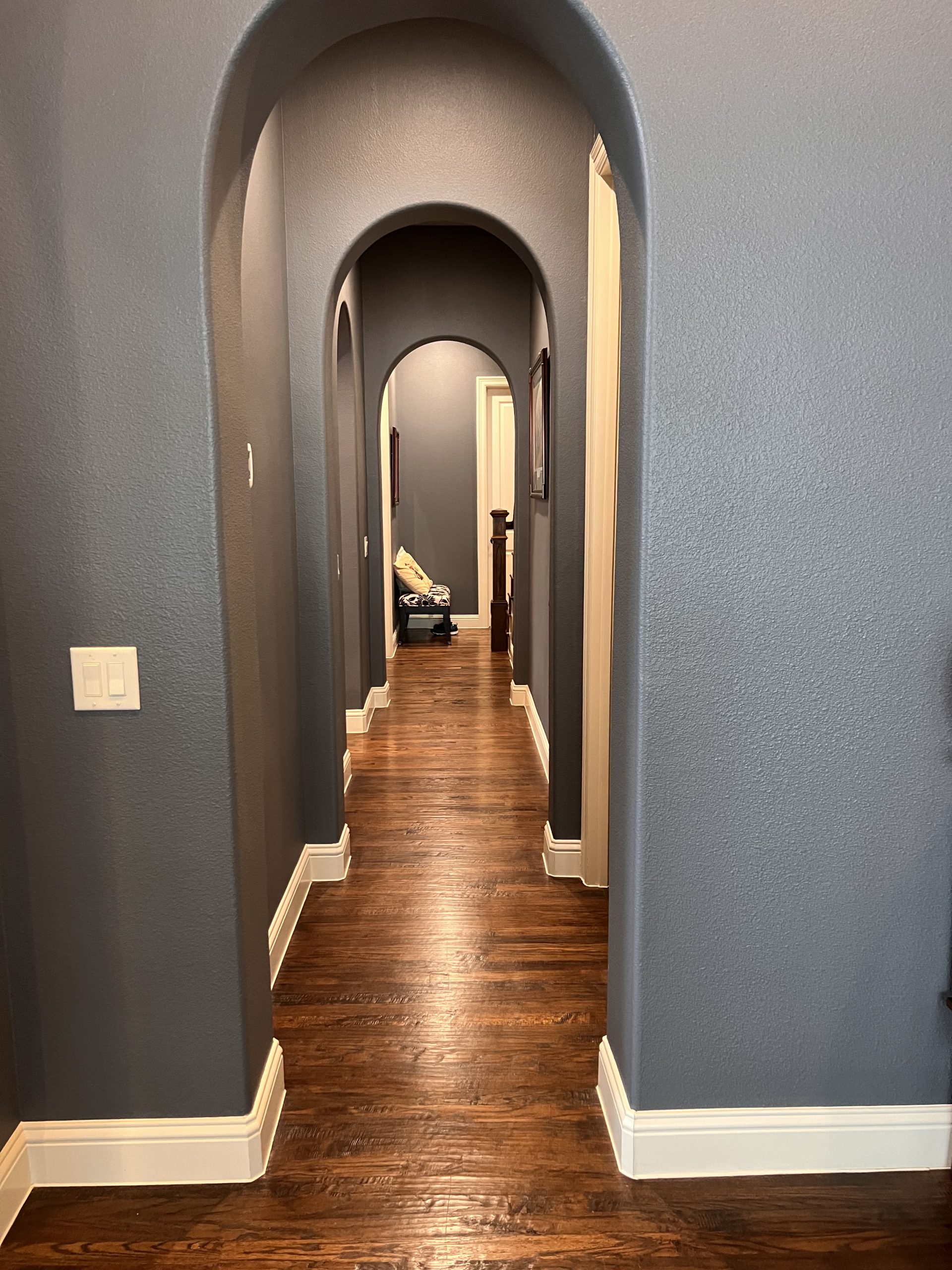 Dark Gray Hallway w/ White Trim