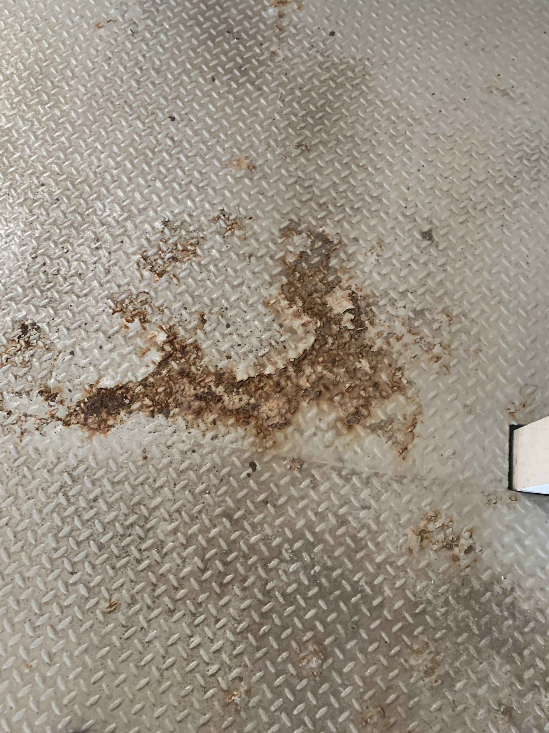 Houston Professional Painting Company