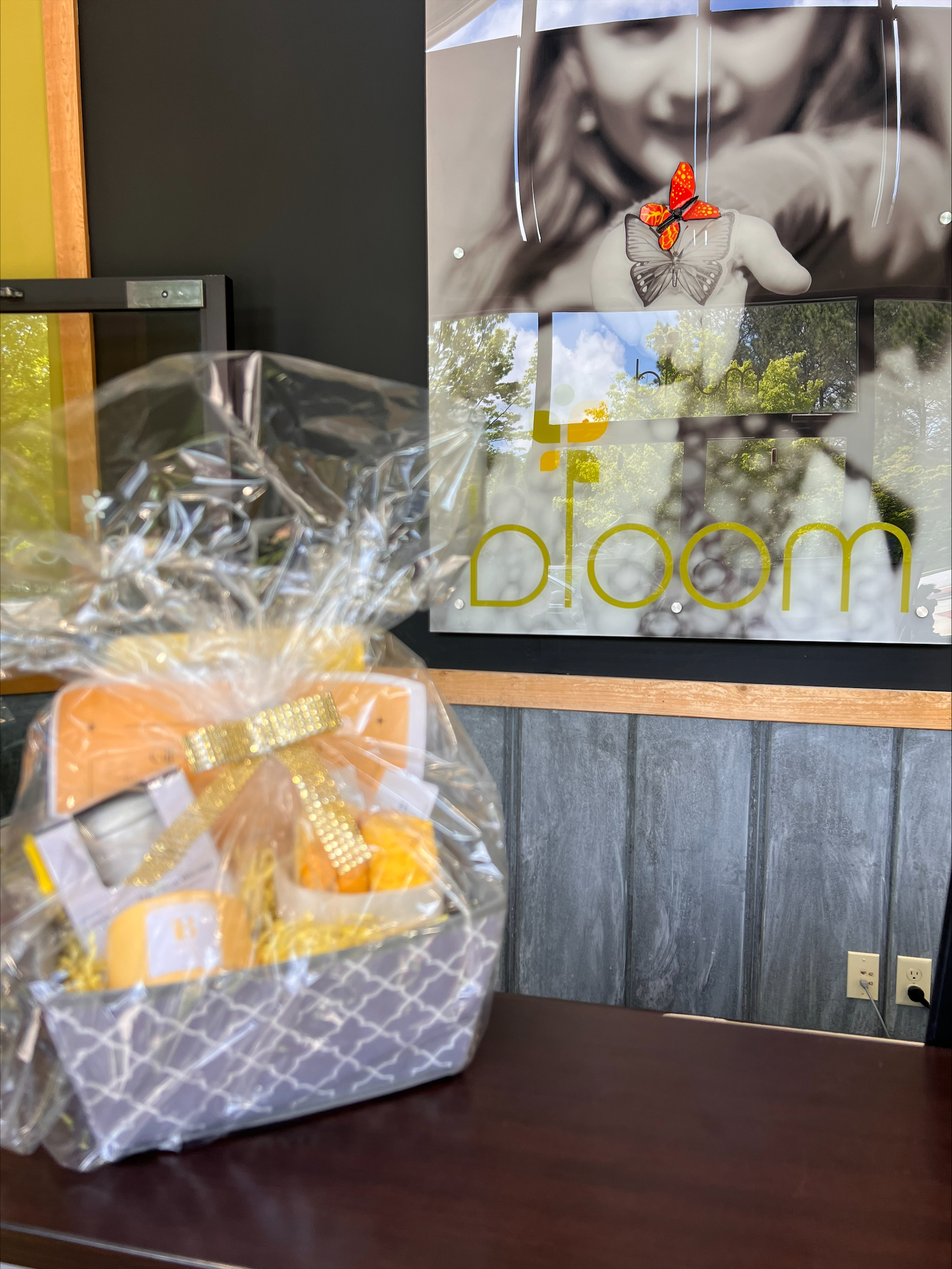 Bloom Ball Basket from CertaPro Peachtree with Bloom Logo