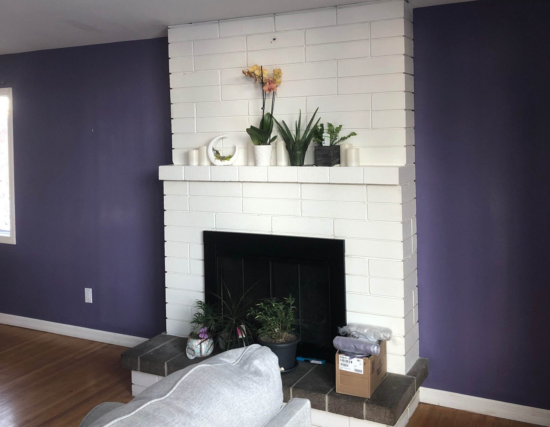 Living Room Painting