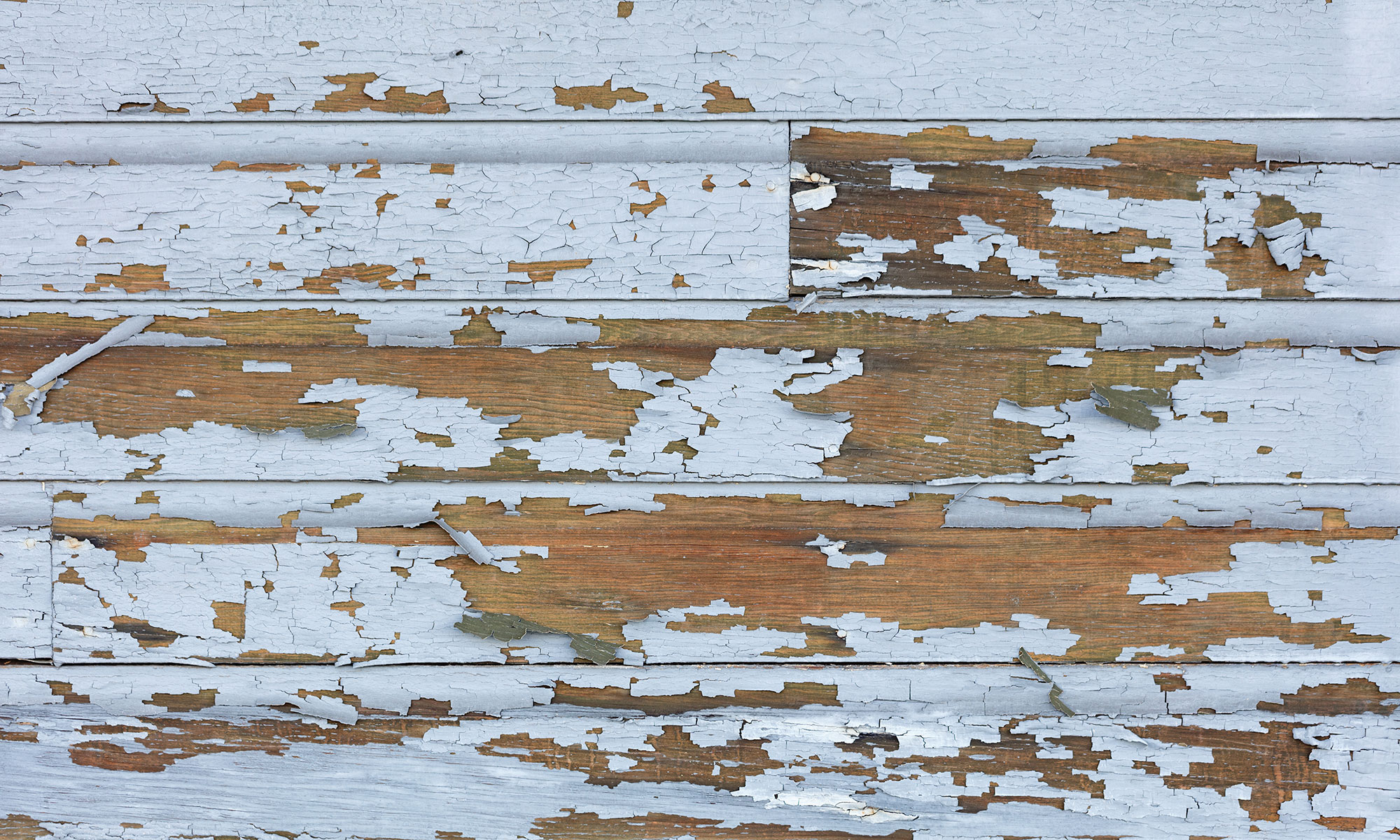 Check out our EPA Lead Certified