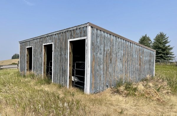 shed before painting