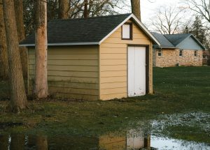 sign you need painting visible wood rot