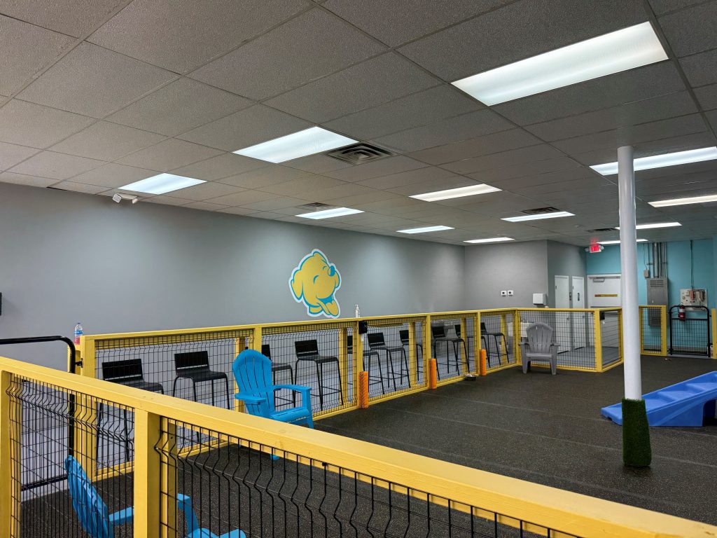 The Bark Park Interior Painting Before & After After