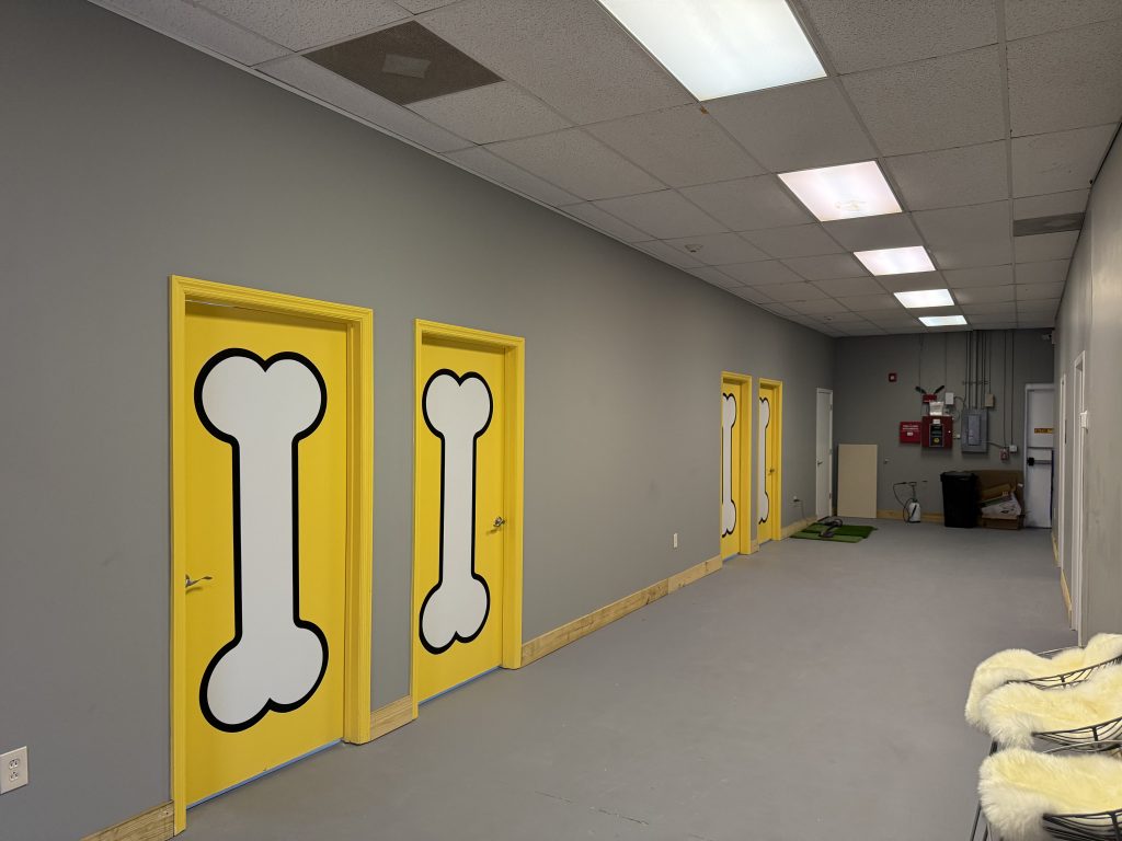 The Bark Park Interior Painting Before & After After