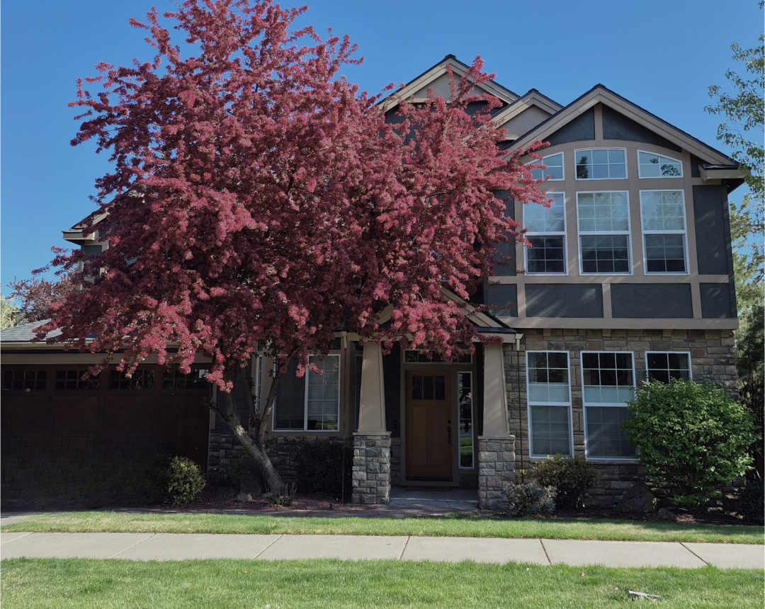exterior of home before being repainted