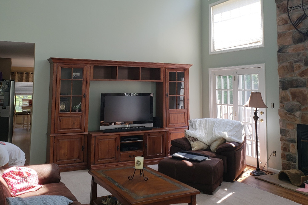 Painting Contractors