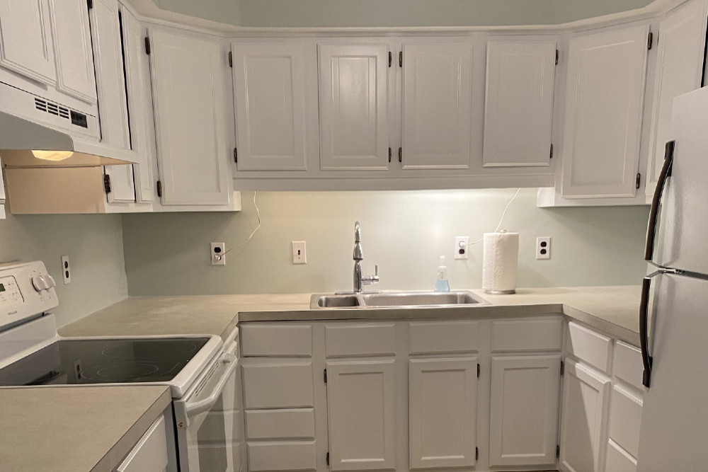 Painting Contractors