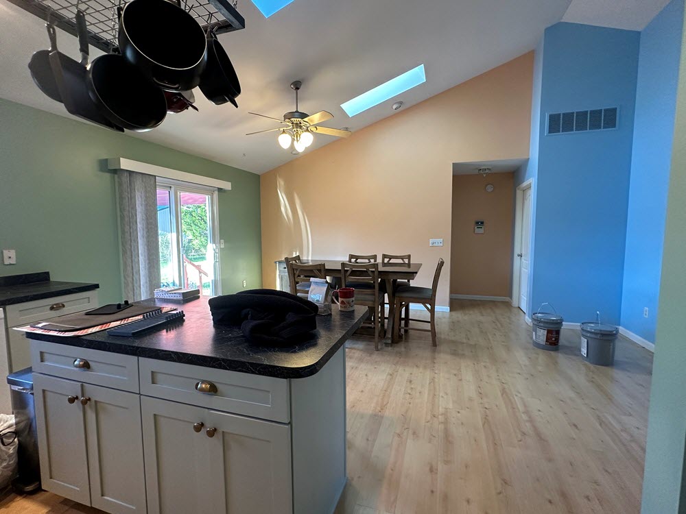 Dining Room Painting Before