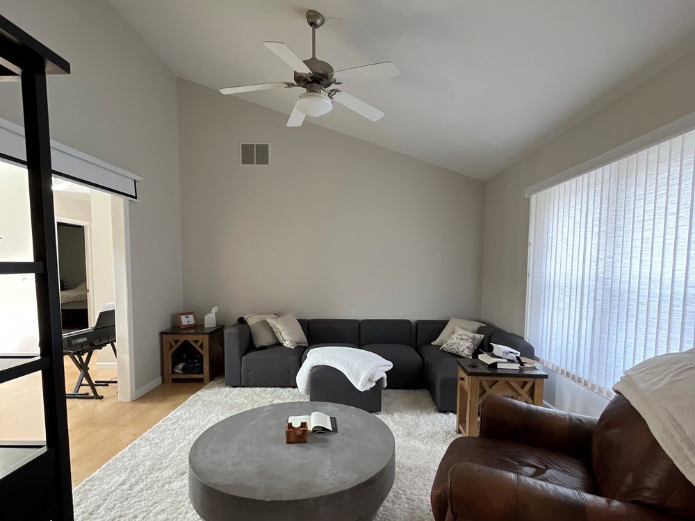 Painting Contractors