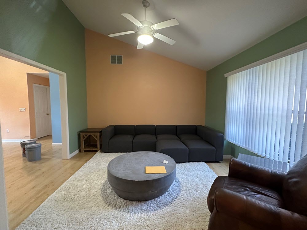 Living Room Painting Before