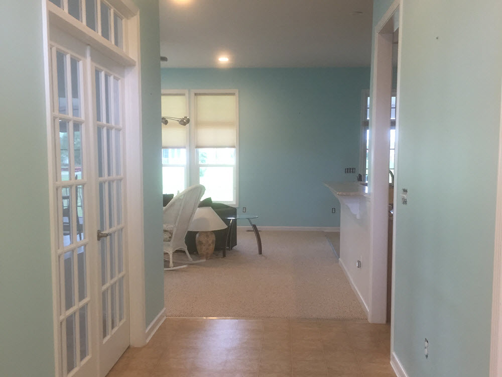 Painting Contractors