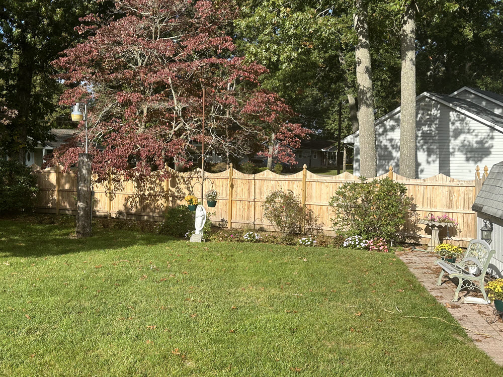 Fence Painting Before