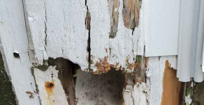 Check out our Wood Rot Repair