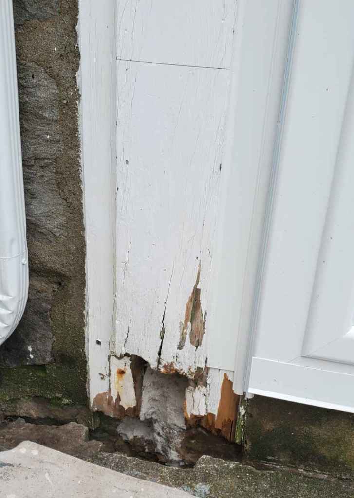 Wood Rot Repair Main Line