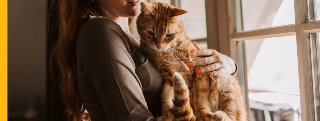 woman holding orange cat