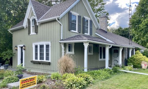 Siding Painting