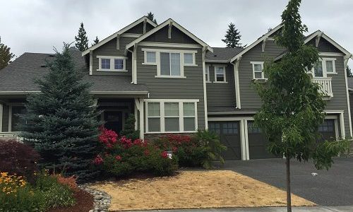 Exterior House Painting