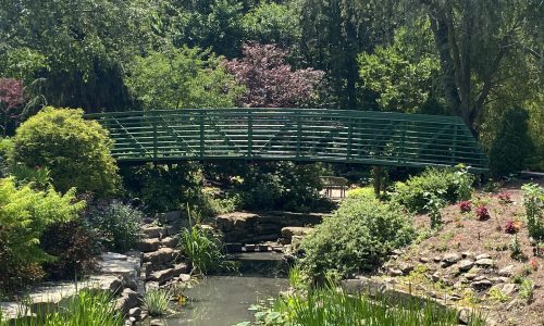 Bridge Painting