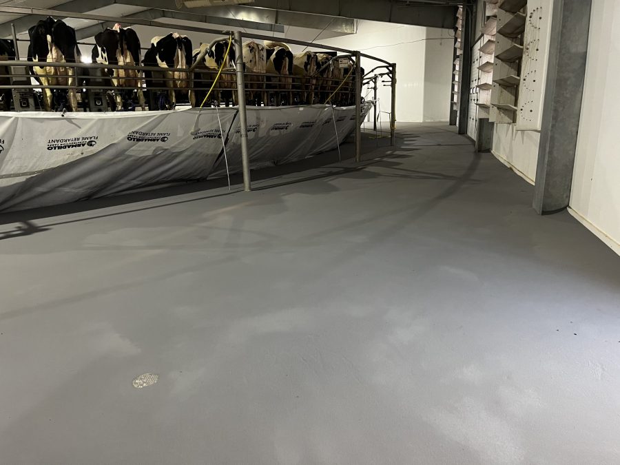 McCarty Farms Commercial Flooring Project after photo of large area of flooring Preview Image 4