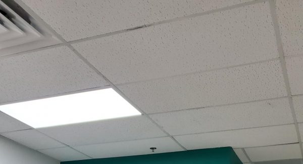 Great Clips