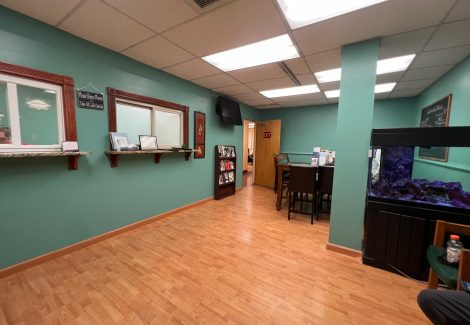 Narberth Family Medicine & Acupuncture Center