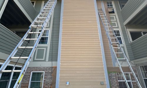During - Multi-Unit Residential Building Exterior Painting & Staining Project