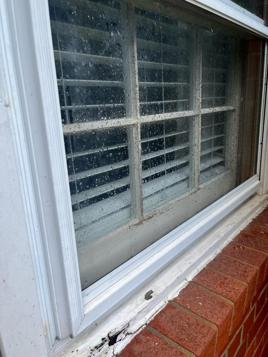 damaged window springfield Preview Image 2