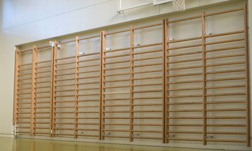 Gymnasiums