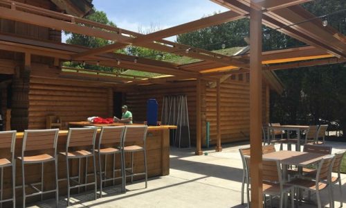 Staining Project
